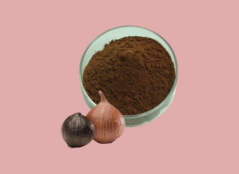 تصویر 2 از قیمت پودر سیر سیاه با کیفیت ارزان + خرید عمده